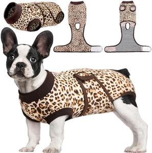 Kuoser Dog