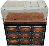 Ant Farm Castle Concrete Ant Nest B