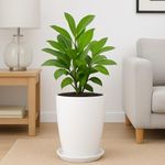 TrustBasket Blossom 12 Inch Solid White Flower Pot| Lightweight & Durable for Indoor/Outdoor | for Big Size Plants/Flower | Flower Pot for Living Room | Big Planters for Home Decor & Garden