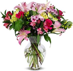Benchmark Bouquets, Blissful Blossoms, Glass Vase Included, Gift Fresh Flowers for Birthday, Anniversary, Get Well, Sympathy, Congratulations, Thank You, Just Because