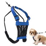 Dog Harness - No pull and No choke humane Design, Non Pulling Pet Harness with Mesh vest, Easy Step-in Adjustable Mesh Harness for control, Blue, Small by Sporn