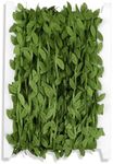 Prasacco 98 FT Artificial Vines Leaves String, Leaf Ribbon Green Garland Leaves Fake Hanging Plants Leaves Wreath Accessory Leaf Ribbon for Party Balloon Wedding Garden Home Decoration & DIY Craft