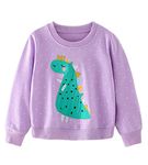 Little Hand Girls Jumper Sweatshirt Dinosaur Tops Long Sleeve Shirt Toddler Winter Clothes Kids Casual Pullover Age 3-4 Years