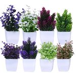 amazon basics Artificial Plants with Pot|Realistic Looking| Multi Variety |Durable Plastic | No Maintenance | Home Decor | Dimensions: 5 cm X 13 cm (Pack of 8)