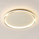 Prolux Modern LED Flush Mount Ceiling Light, LED Gold Close to Ceiling Light,Dimmable Ceiling Lamp Lighting Fixture for Kitchen, Living Room, Bedroom, Laundry Room(size-40)