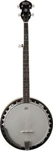 Washburn B
