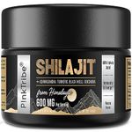 Shilajit Resin Gold Standard Shilajit - 600mg Himalayan Shilajit Blend with Ayurvedic Herbal Extracts, High Levels of Fulvic Acid, Supports Energy and Performance, 30 g (Pack of 1)