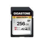 GIGASTONE 256GB SD Card, 4K Camera Pro MAX, A2 4K SDXC Memory Card High Speed 4K Ultra HD UHD Video Compatible with Canon Nikon Sony Pentax Kodak Olympus Panasonic Digital Camera, with 1 Mini case