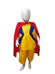 BookMyCostume Balveer Indian Cartoon Kids Fancy Dress Costume 4-5 years