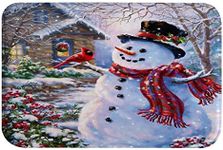 A.Monamour Red Bird Snowman Snowy House Christmas Holiday Decorations Absorbent Flannel Non-Slip Bath Rugs Bath Mat Floor Mat for Bathroom Bedroom Kitchen