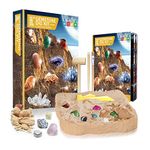 AM ANNA Kids Science Kit for Kids Age 5-8, Rocks Gifts for Kids Excavate 15 Real Fossils and Gem, Cool Stuff for Boys, Girls Treasure Gemstone Dig Ki, Stem Toys for 5 Year Old (Mega Gemstone Dig Kit)