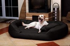 Priced Dog Beds