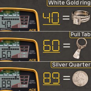 Garrett ACE 400 Metal Detector with Waterproof Coil, Pro-Pointer, Carry Bag
