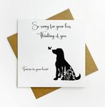 Dog Pet Loss - Sympathy - Dog - Thinking of you - So sorry for your loss - Beautiful textured card 15x15cm - Bereavement