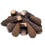 Skyflame 10 Small Piece Set of Ceramic Wood Logs and Accessories for All Types of Indoor Gas Inserts, Ventless & Vent Free, Propane, Gel, Ethanol, Electric or Outdoor Fireplaces & Fire Pits