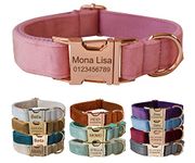 Personalised Dog Collar With Metal Buckle, Customized Pet Collars with Name Phone Number Address Engraved, Velvet Style A