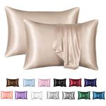 MR&HM Satin Pillowcase for Hair and Skin, Silk Satin Pillowcase 2 Pack, Queen Size Pillow Cases Set of 2, Silky Pillow Cover with Envelope Closure (20x30, Champagne)