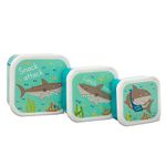 Sass & Belle Shelby The Shark Lunch Boxes - Set Of 3