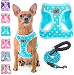 BEAUTYZOO Step in Dog Harness and L