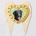 Hallmark Keepsake Christmas Ornament 2020 Forever My Friend Pet Memorial Metal Photo Frame