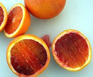 Citrus Plant Foods