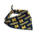 Michigan Wolverines Officially Lice