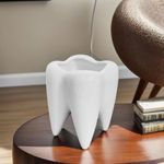 Cute Tooth Shaped Ceramic Planter White pot for Home Decoration Dental Shaped Dentist Gift Dental clinical decoration (Planter only)