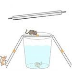 SagaSave Mouse Trap, Live Catch and Release Bucket Spin Roller for Mice Rats Rodents. Humane Auto Rolling Reset Safe for Outdoors and Indoors