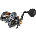 Piscifun Alijoz Baitcasting Reels Low Profile Baitcaster Aluminum Frame Baitcast Fishing reel, Size 300, 33lb Drag 8.1:1 Gear Ratio Freshwater Saltwater Power Handle Casting Reels (Left Handed)