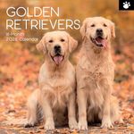 The Gifted Stationary 2026 Square Wall Calendar, Golden Retrievers, 16-Month Paw Prints Theme Hanging Calendar with 180 Reminder Stickers, Month Planner for Home or Creative Spaces, 12x12 In