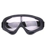 Ants Ski Goggles