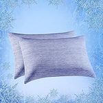 Elegear Cooling Pillow Cases for Ho