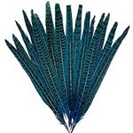 20pcs Turquoise Pheasant Feathers P