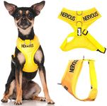 NERVOUS (Give Me Space) Yellow Colour Coded Non-Pull Front and Back D Ring Padded and Waterproof Vest Dog Harness PREVENTS Accidents By Warning Others Of Your Dog In Advance (XS)