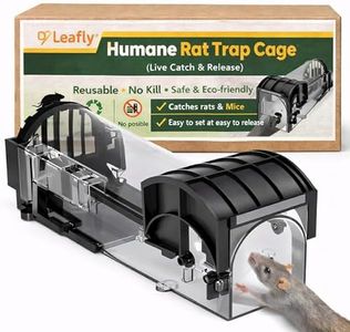 Leafly Rat