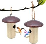 Origreen 2P Mushroom Hummingbird Ho