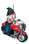 Spoontiques 10127 Gnome on Motorcycle Birdhouse, Multicolor