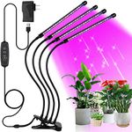 Lights For Growing Plants