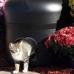 The Kitty Tube-Durable Outdoor Ultr
