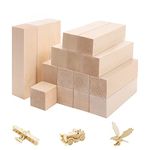 Carving Wooden Block, 16 Pcs Basswood Carving, Unfinished Wood Blocks for Beginners DIY Crafts