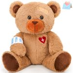 Houwsbaby 31cm Get Well Soon Teddy Bear Stuffed Animal Get Well Soon Bear Stuffed for Kids Women After Surgery Gifts for Kids Broken Arm Teddy Bear Feel Better Bear (Bear)