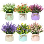 CEWOR 6pcs Fake Potted Plants Small Faux Plants Indoor Artificial Flowers Outdoor in Macaron Pot, Desk Plants for Home Indoor Bathroom Kitchen Shelf Office Decor