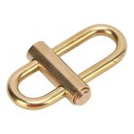 GAESHOW Keychain, Brass Lock Keychain, Locking Carabiner, Smal Oval Slide Locking Snap Lock Clip Buckle, Simple Style Car Keychain Brass for Men Women