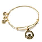 Alex and Ani Path of Symbols Expandable Bangle for Women, One Size, no gemstone