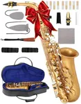 AKLOT Handcrafted E-Flat Alto Saxophone: Matte Gold Brass Body with Warm, Rich Tone, Secure Air Seal, Smooth 23-Key System, Includes Reeds Premium Leather Case & Saxophone Cleaning Kit (CH-EG)