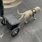 Dog Trailer, Pet Pull cart for Smal