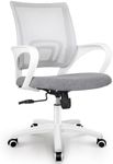 NEO CHAIR Office Desk Computer Chai