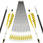 ZSHJGJR 31" Pure Carbon Arrows 250 