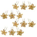 Drishti® Hair Bun Pin Fancy Juda Pins with crystal rhinestone for Women and Girls 1 box Set of 12 Pin Golden