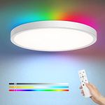 EDISHINE Ceiling Light with Remote 